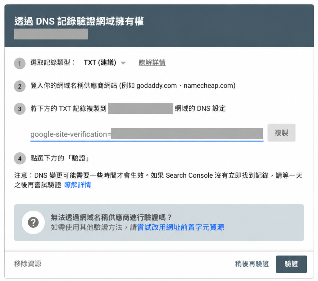 Google DNS 驗證視窗，網域與驗證碼已遮蔽