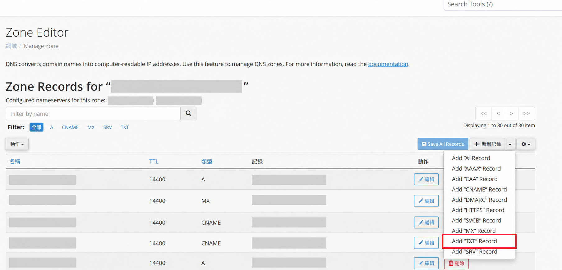 選擇 Add TXT Record，網域、名稱伺服器及 IP 已遮蔽
